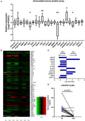 sVEGFR1 Is Enriched in Hepatic Vein Blood—Evidence for a Provisional Hepatic Factor Candidate?